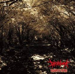 Resident of the Void